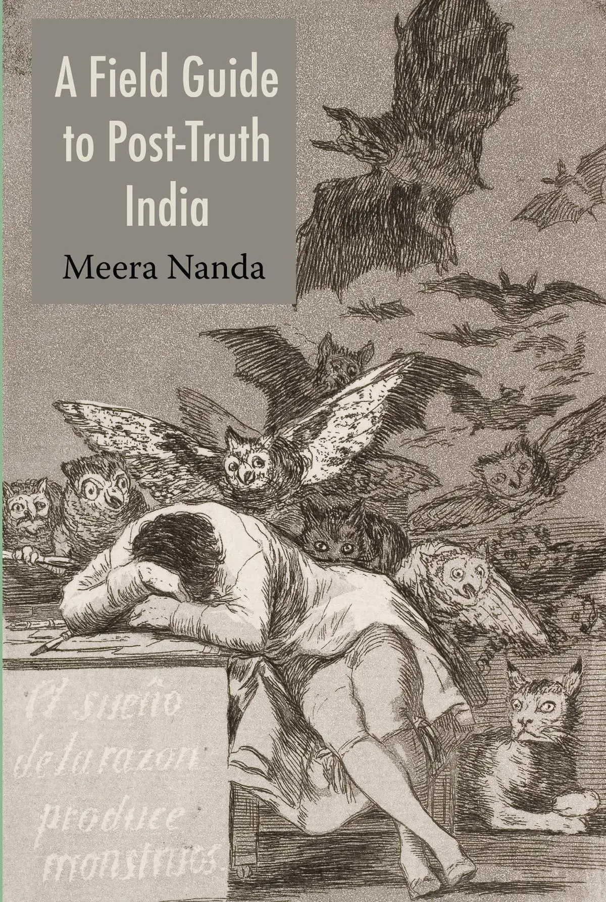 In this book, Meera Nanda sounds the alarm bells on the state-sponsored “injection of Hindu Metaphysics” into our education system. In this book, Meera Nanda sounds the alarm bells on the state-sponsored “injection of Hindu Metaphysics” into our education system.