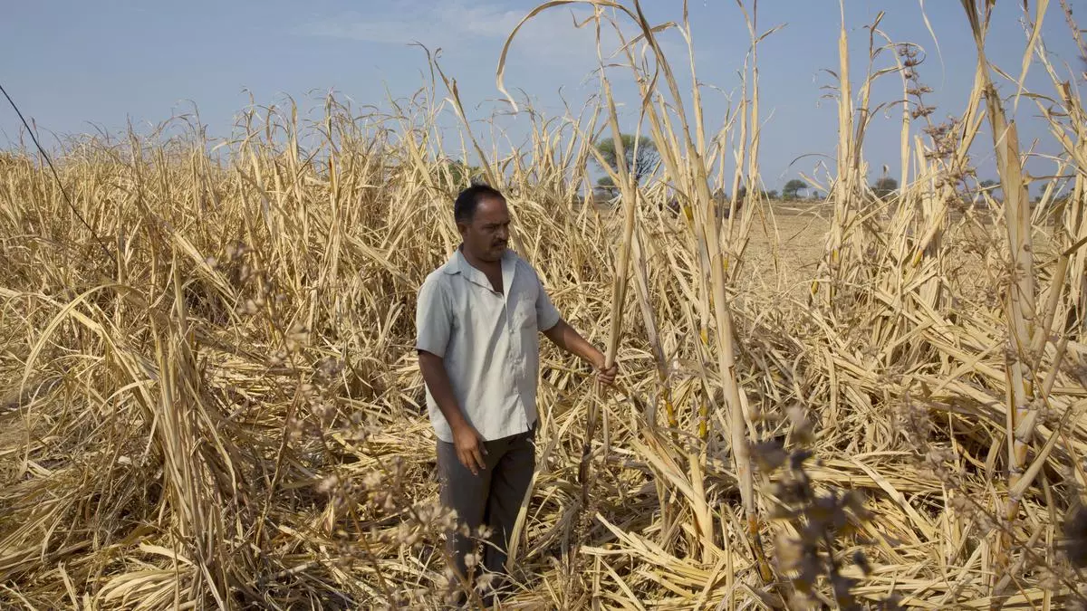 Maharashtra: Contentious Report Coda Takes Over Debate on Farmer Suicides