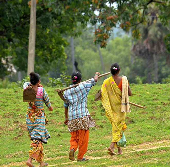 Tribal farmers going to the forest to cultivate “podu” (a shifting agricultural practice) lands, in Bhadradri Kothagudem district, Telangana, on November 24, 2021. Tribal farmers going to the forest to cultivate “podu” (a shifting agricultural practice) lands, in Bhadradri Kothagudem district, Telangana, on November 24, 2021.