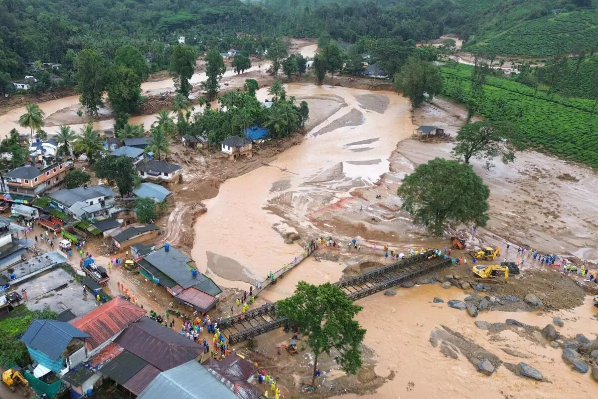 An aerial picture of tea plantations in Wayanad after the landslide. 