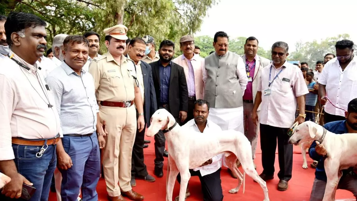 Mudhol hounds to be a part of Prime Minister's security - Frontline