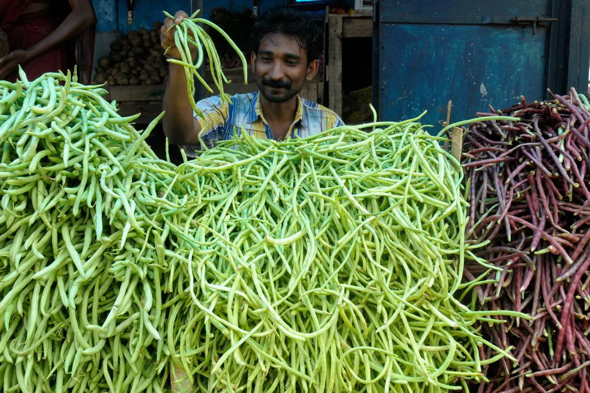 Different varieties of cowpea and snake beans on display at a retail outlet in Thrissur, Kerala.  