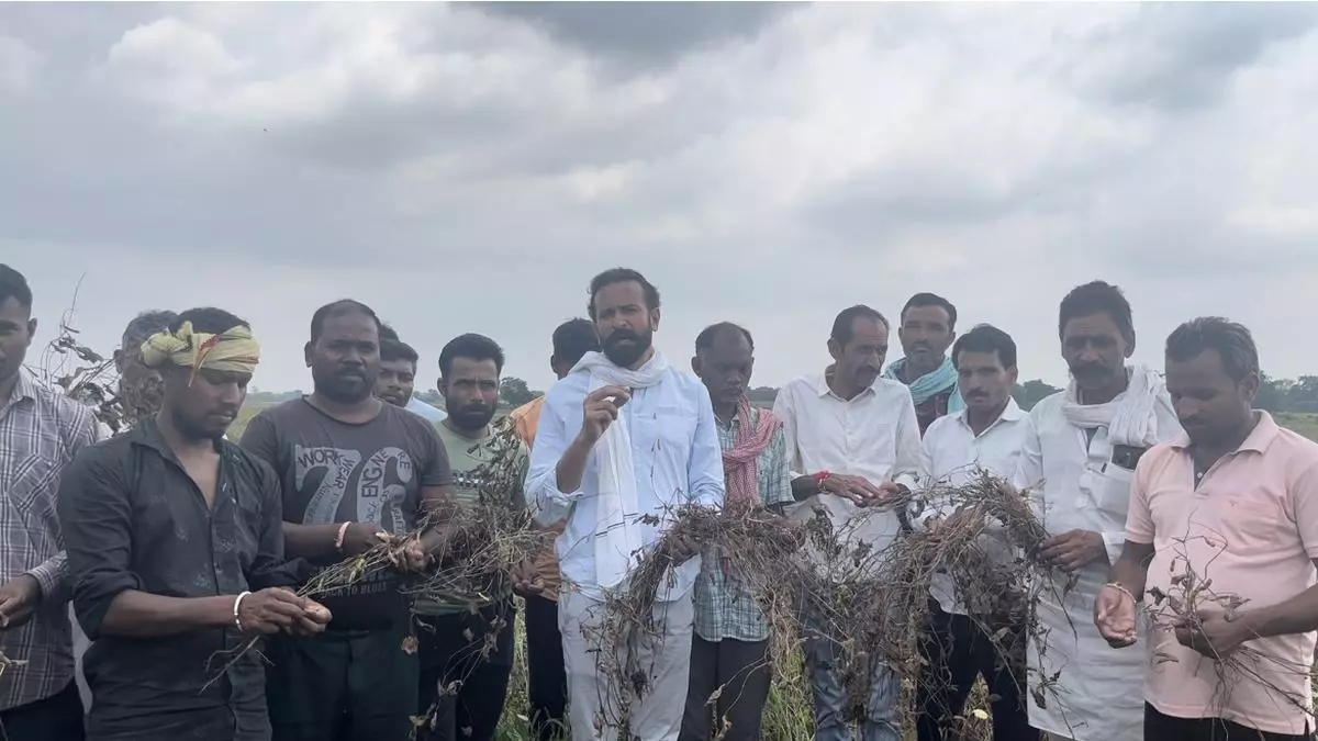 Madhya Pradesh Assembly election 2023: Farmers’ issues take centre stage in bipolar election battle