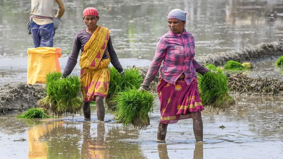 Utsa Patnaik writes: Why the farmers’ protest 2.0 is a battle against servitude