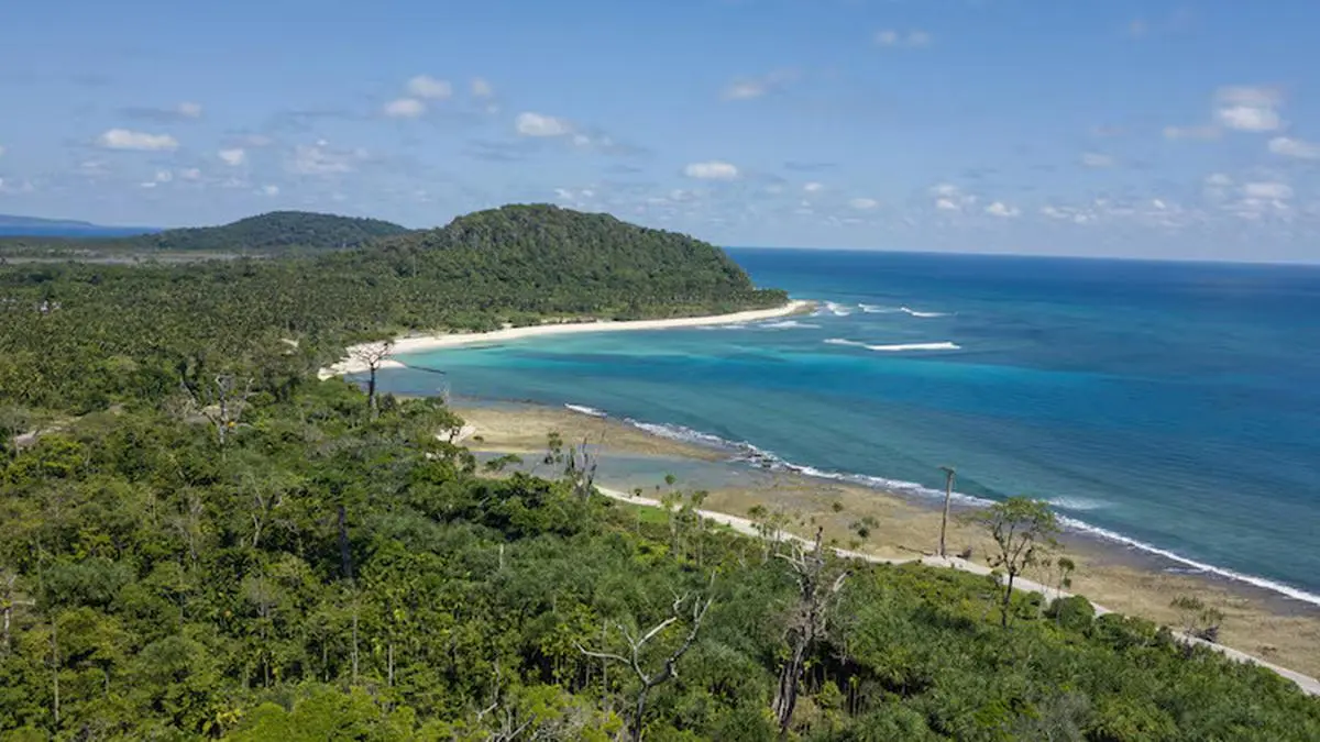 A green light that experts say ignores the evidence