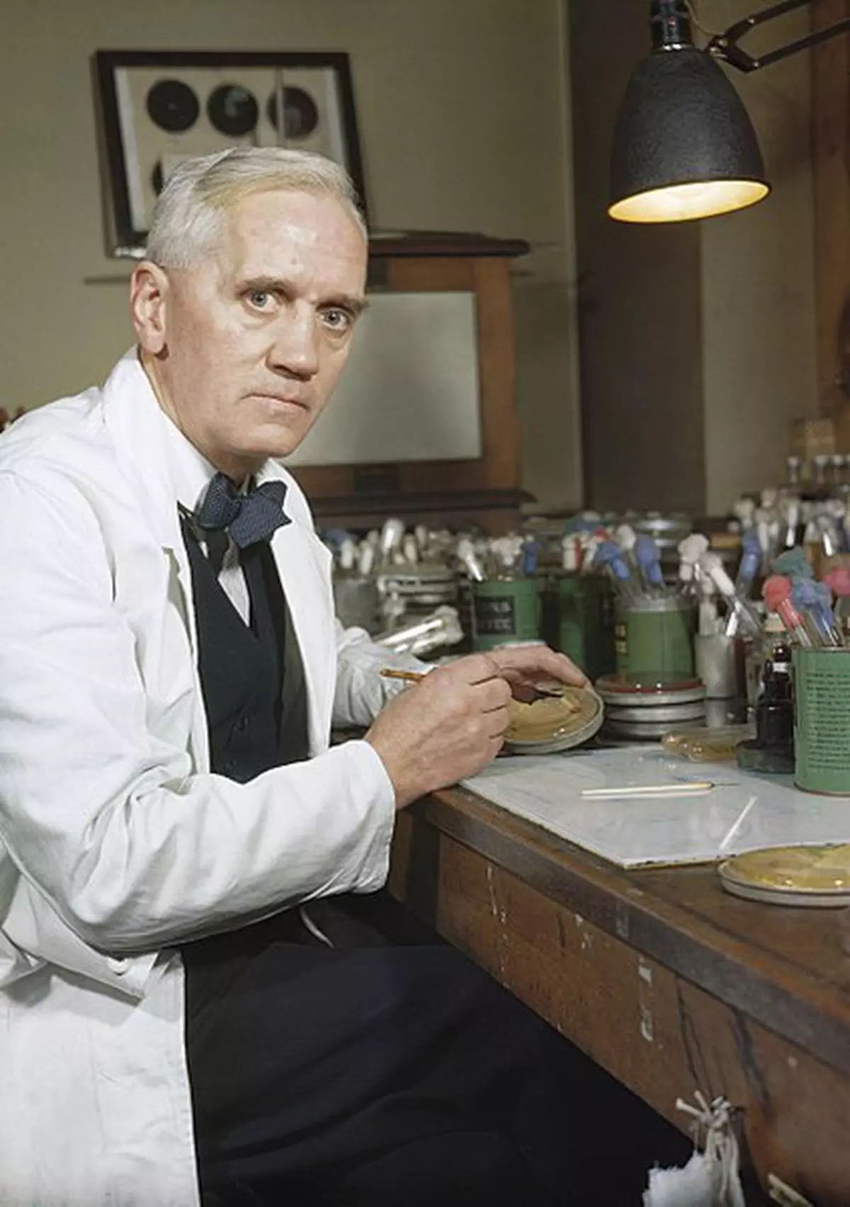 Alexander Fleming in his laboratory in London in 1943. In 1928, Fleming discovered some fungus growing in a Petri dish of Staphylococcus bacteria that seemed to be preventing the bacteria around it from growing. He found that the fungus produced a self-defence chemical that could kill bacteria. Fleming named the substance penicillin.