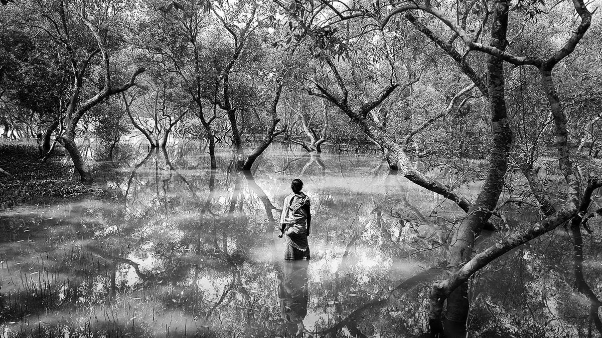 Book Review: ‘Marginlands’ by Arati Kumar-Rao tells the story of Bengal’s tiger widows and failed government schemes