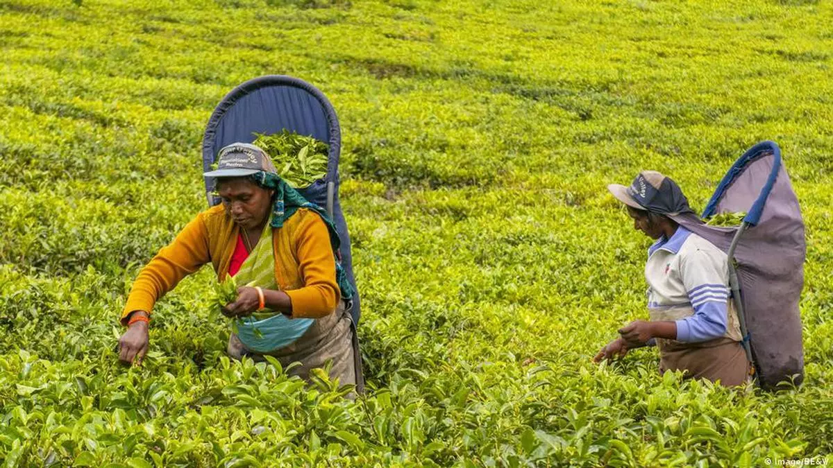 Closing the global gender finance gap a long way off