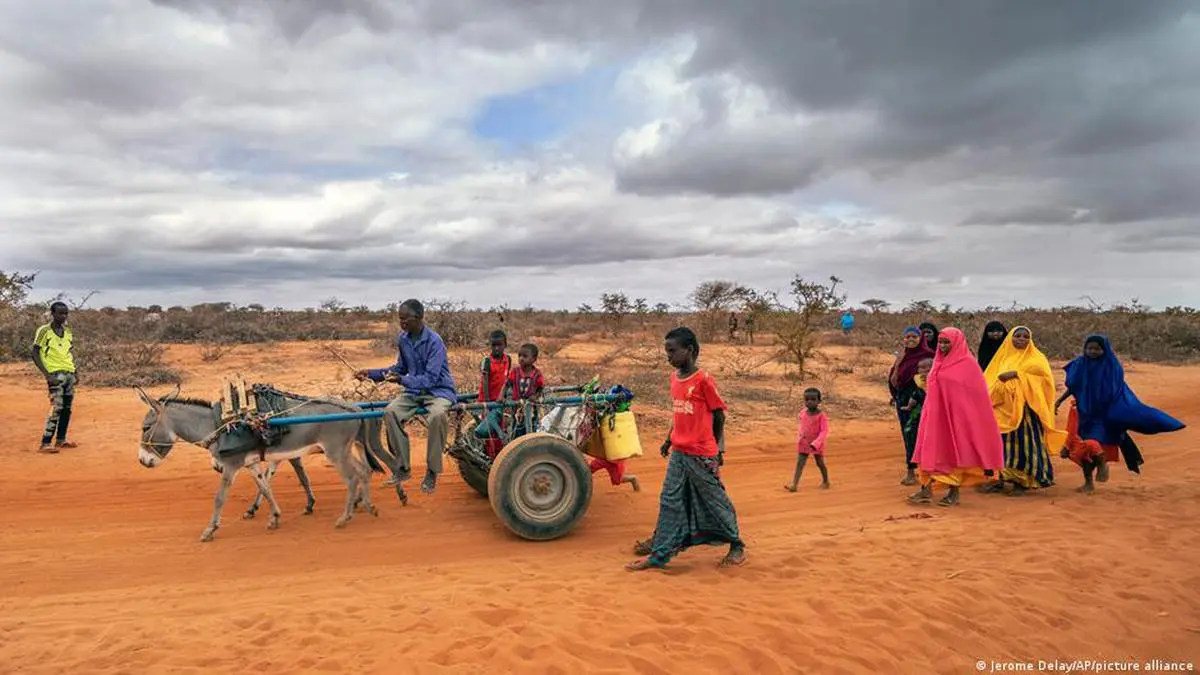 Food crisis in Somalia claims young lives