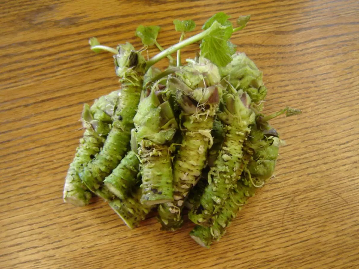 Fresh wasabi rhizomes.