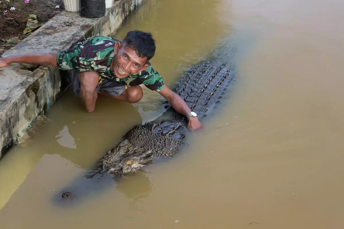 The connection between Pak Ambo and Riska drew attention and became a talking point in Indonesia. It’s a testament to how mutual trust and respect can form between humans and wildlife. 