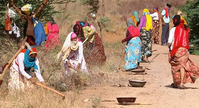 Workers at an MGNREGA site near Ajmer in May 2020. Workers at an MGNREGA site near Ajmer in May 2020.