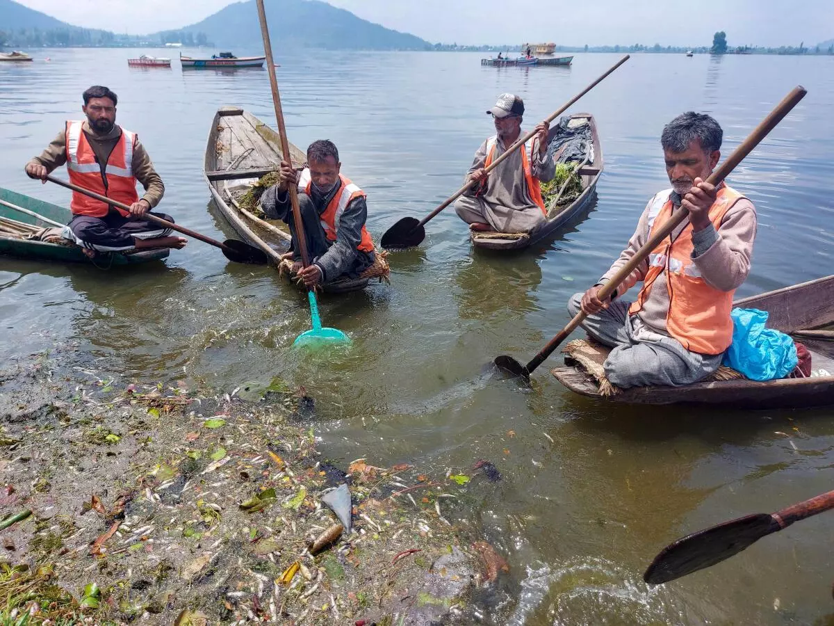 Workers collecting waste from the Dal Lake. Around one million litres of waste from houseboats was found last year. 