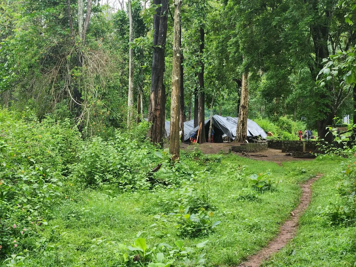 The “reclaimed” hamlet of Karadi Kallu in Nagarahole National Park. 