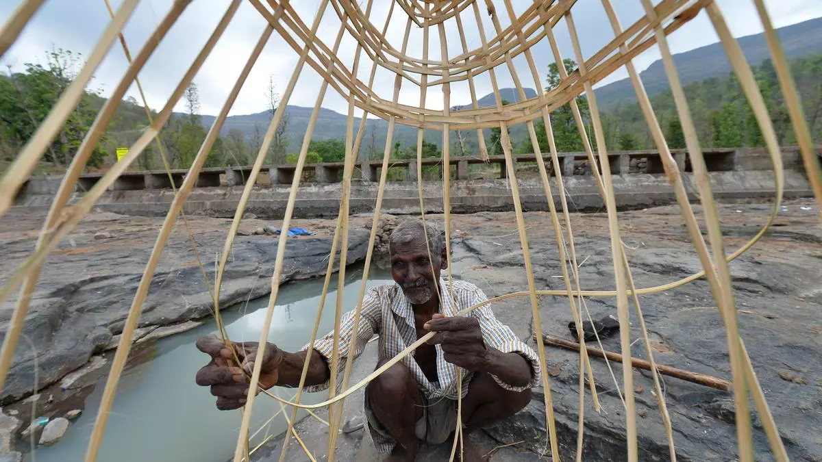 How India’s Green Credit Programme has Reopened Old Wounds for Adivasis in Gujarat’s Dang