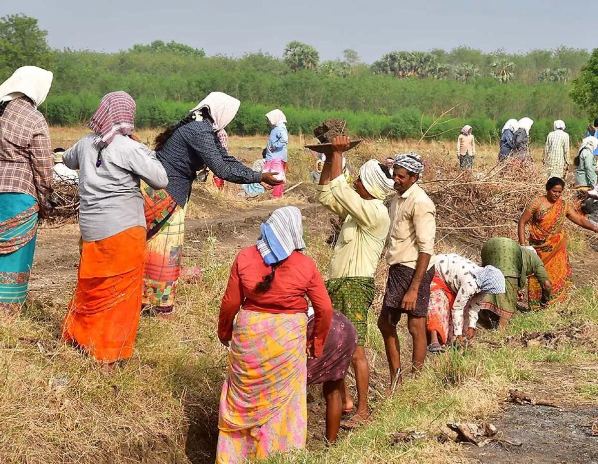 Workers engaged in desilting work as part of Mahatma Gandhi National Rural Employment Guarantee Scheme (MGNREGS) at Mullapadu of NTR District, Andhra Pradesh. Workers engaged in desilting work as part of Mahatma Gandhi National Rural Employment Guarantee Scheme (MGNREGS) at Mullapadu of NTR District, Andhra Pradesh.