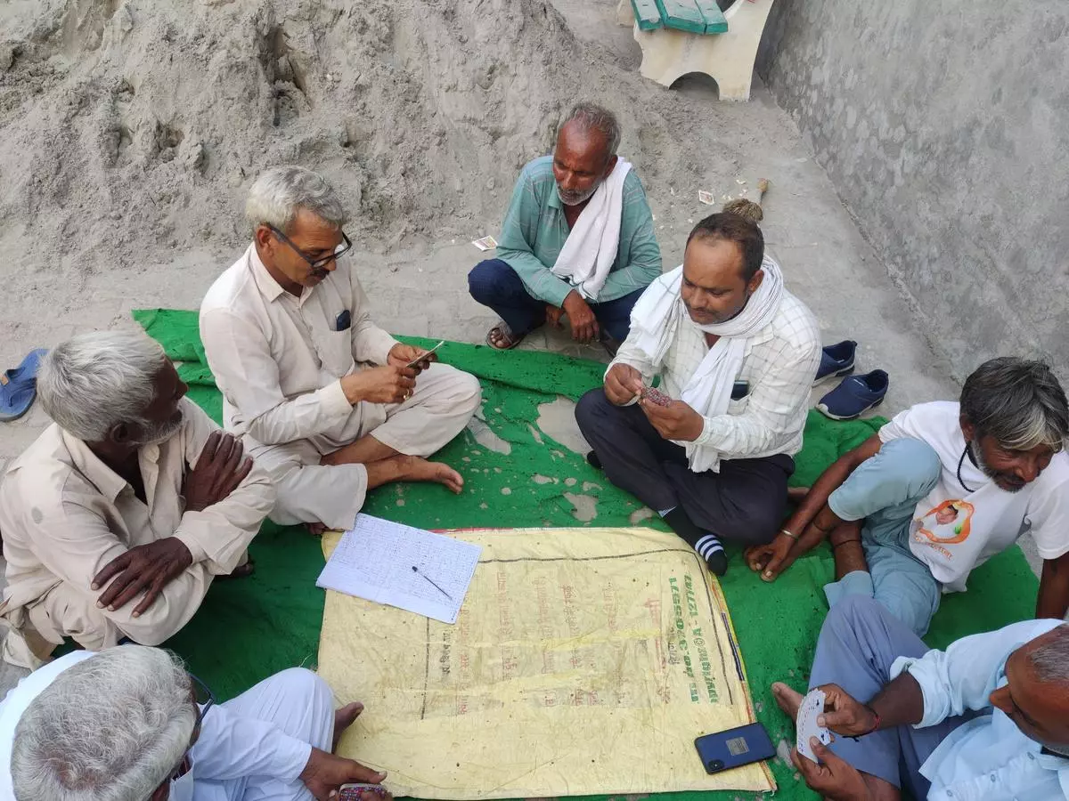 Men playing a card game called Minus at Ambedkar Bhawan at Gobindpura village.