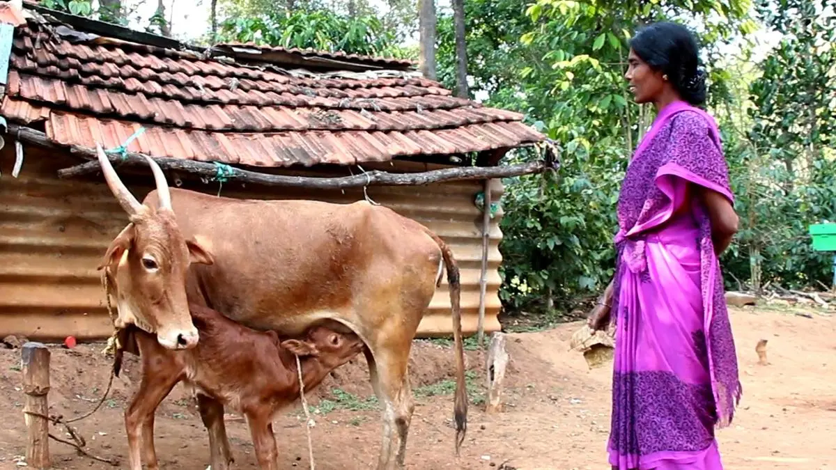 The Soliga people of Karnataka.