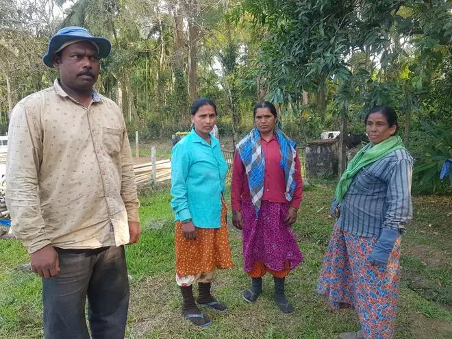 Small farmers near Ballu village in Sakleshpur taluk have stopped growing paddy because of elephants. Tejesh Yedehalli (left) says that elephants are lured to paddy when it is ready to be harvested.