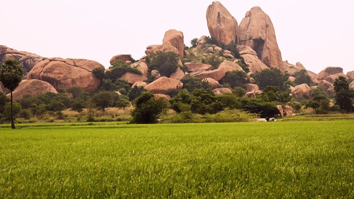 How Tamil Nadu Protesters Stopped Federal Tungsten Mining in Madurai’s Heritage Site