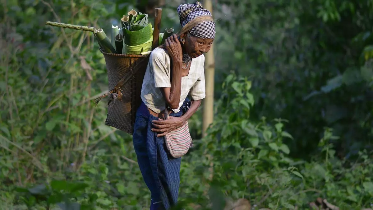 WHITE SPACE | The art of foraging: How indigenous people can be the influencers we need