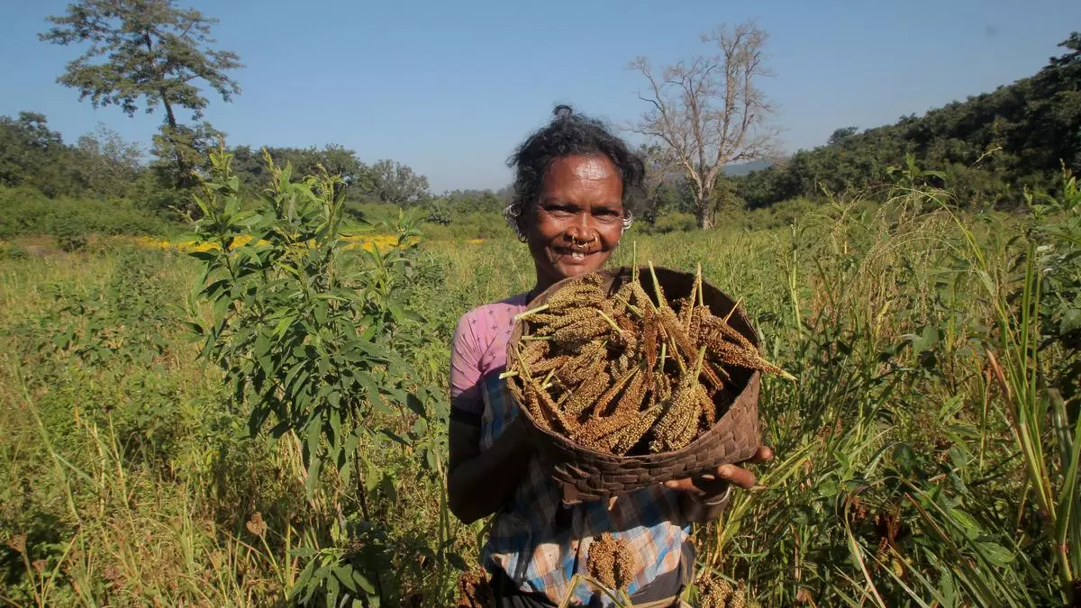 AGRICULTURE | If government wants to promote millets, it needs to support policies