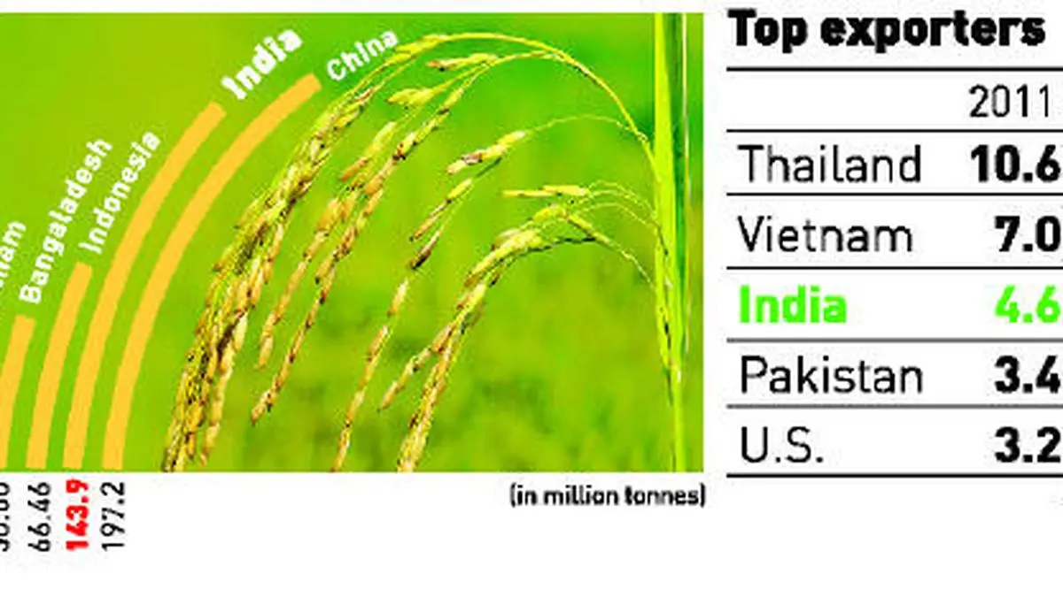 The rice nation - Frontline