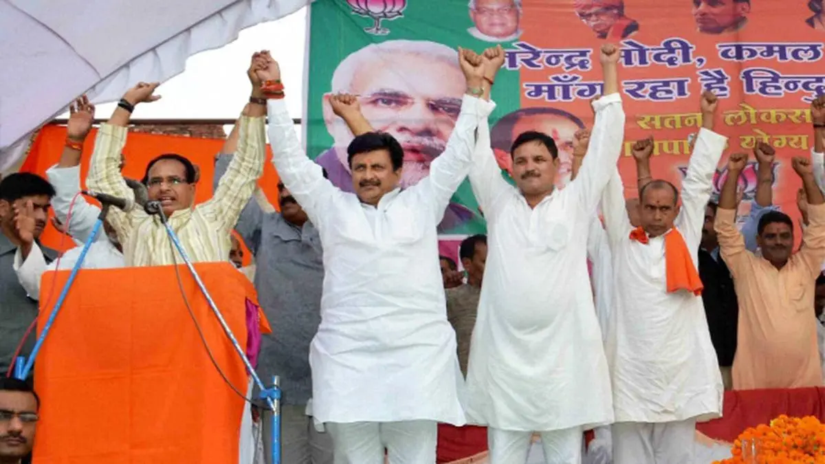 Saffron euphoria Frontline