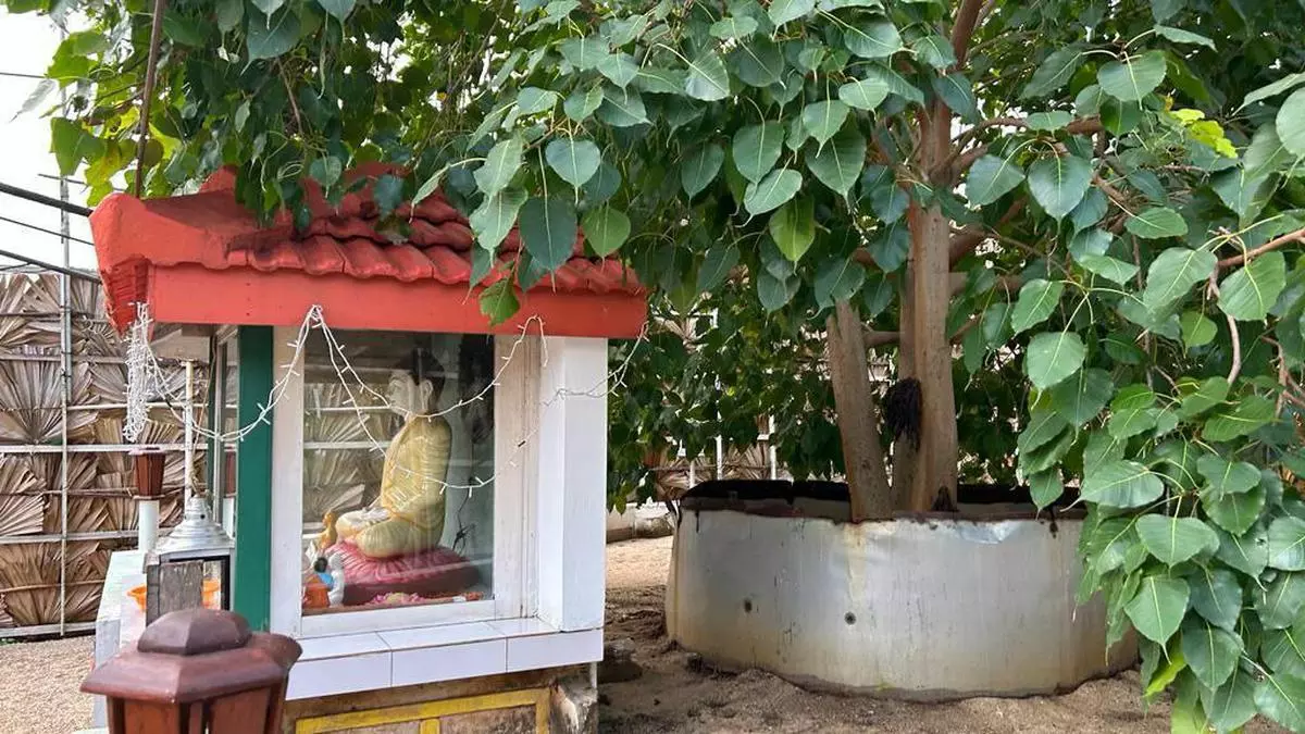 Installing of Buddha statues in Sri Lanka’s Katchatheevu raises hackles