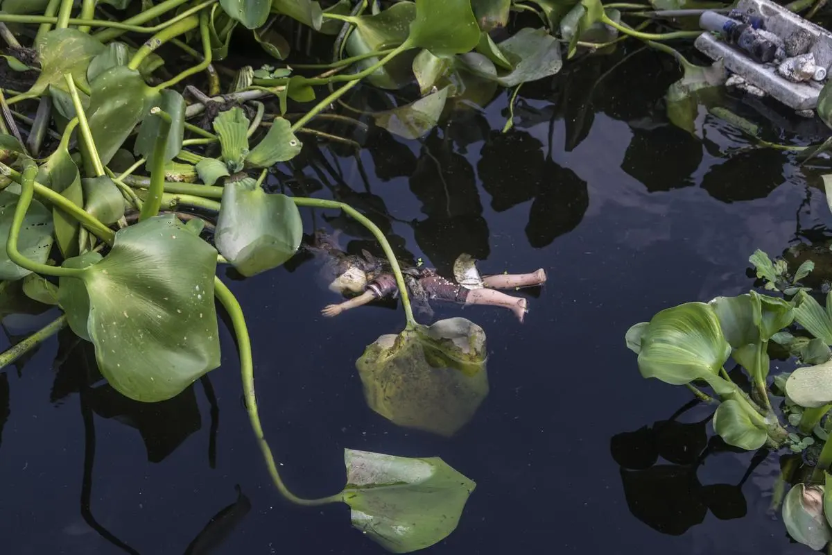 The free-floating plastic waste is making the water more toxic. The free-floating plastic waste is making the water more toxic.