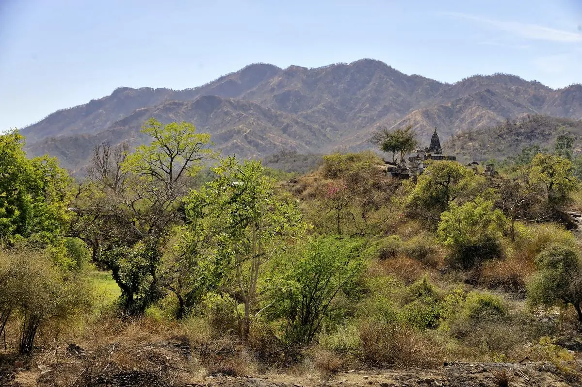 The Aravallis, where Great Nicobar’s rainforests are sought to be relocated, have a vastly different and drier ecosystem, with completely different forest types, biogeography, and evolutionary history.