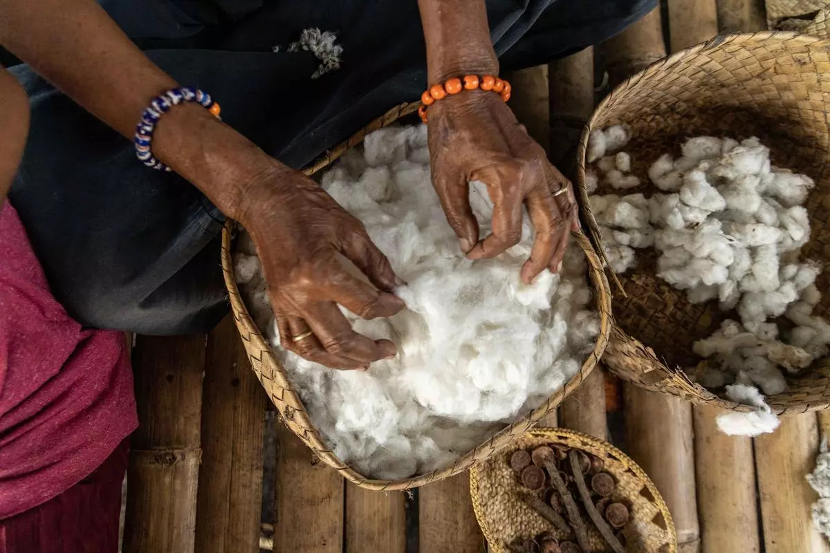 The cotton used for traditional Sumbanese textile grows on the island.