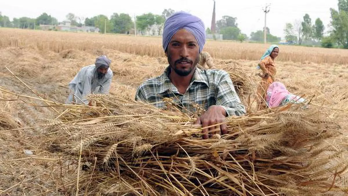 The Shamlat lands of Punjab - Frontline