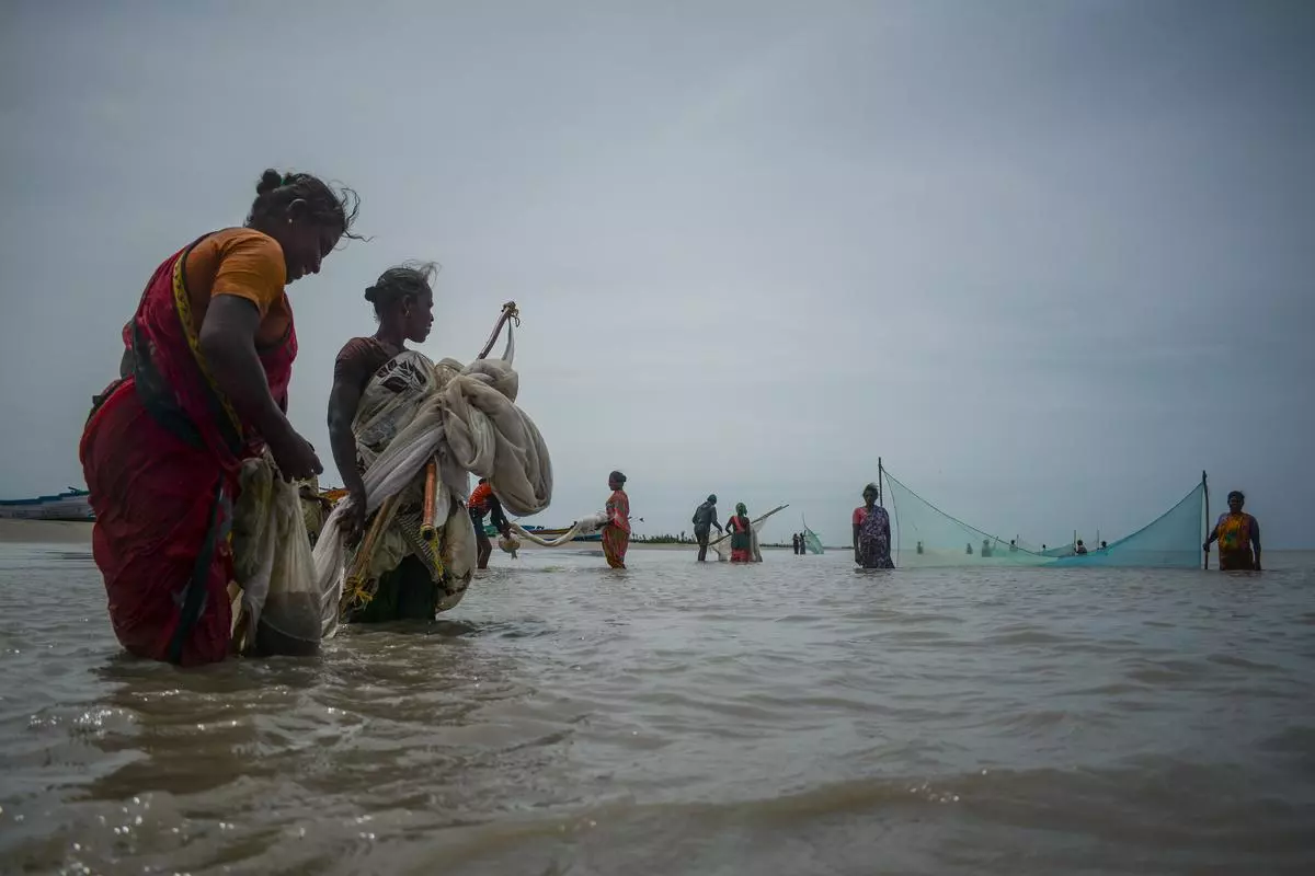 In Nagapattinam, fisherwomen set up nets to trap prawns.