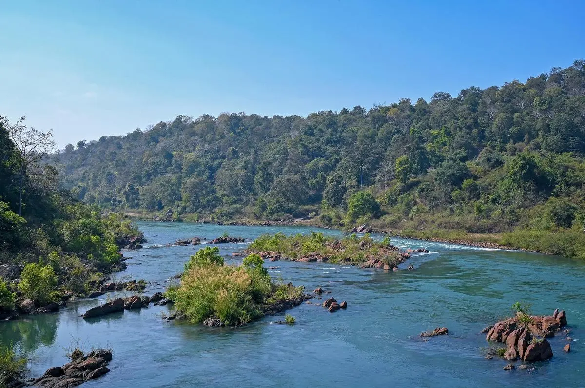 Hasdeo Aranya. The residents have depended on the forests—for non-timber forest produce, farming, and fishery—for generations. Hasdeo Aranya. The residents have depended on the forests—for non-timber forest produce, farming, and fishery—for generations.