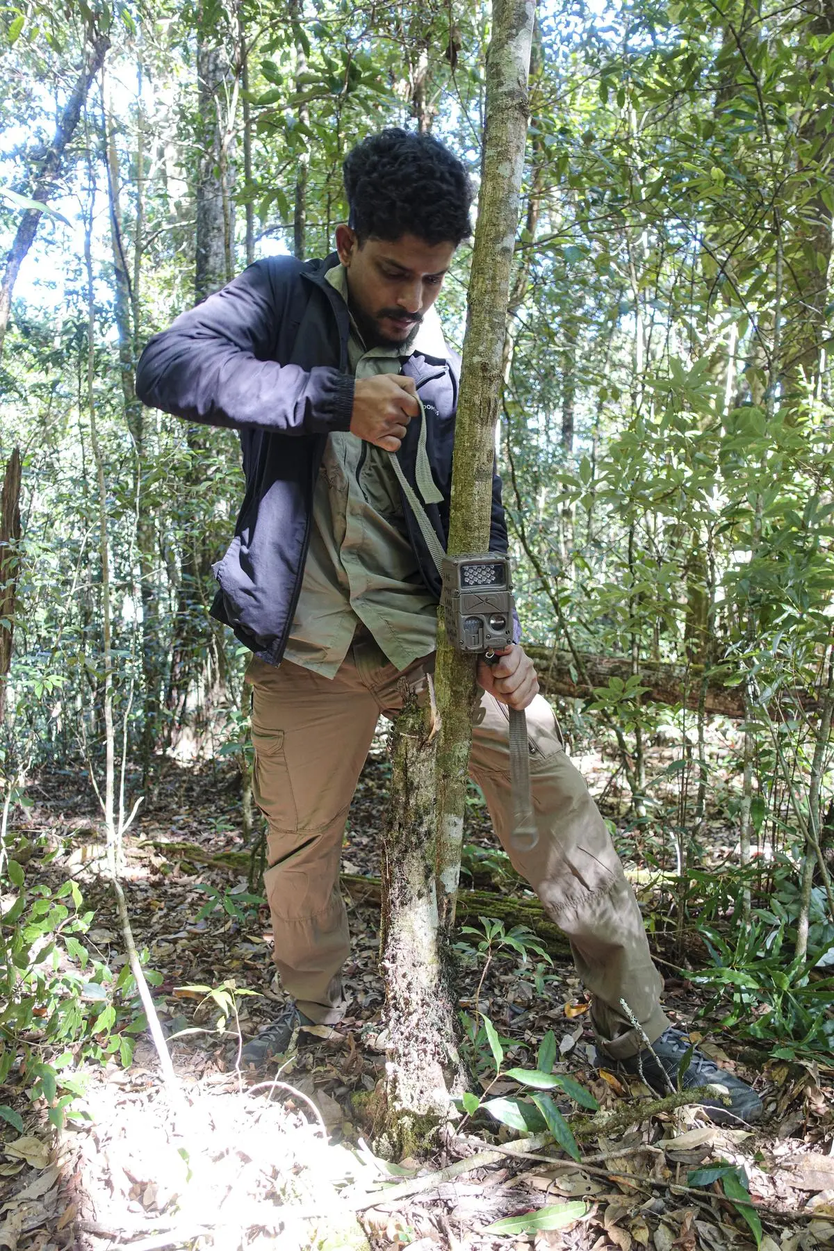 Amit Kumar Bal straps a camera trap to a tree in the Murlen WLS. 