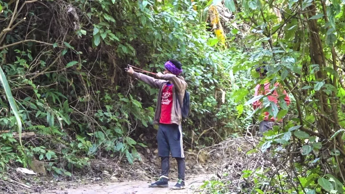 A boy aims his catapult at a bird in the thicket.