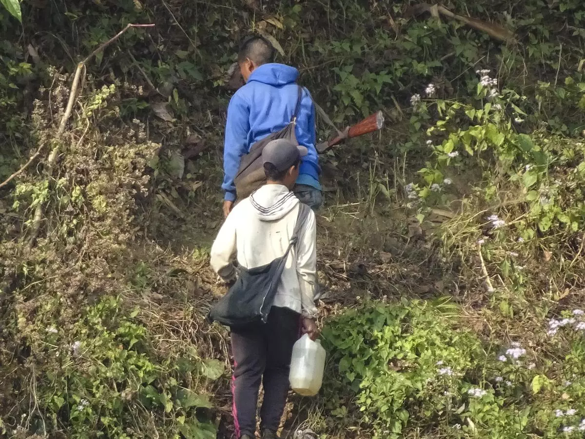 Residents of the area head into the forest for a hunt.