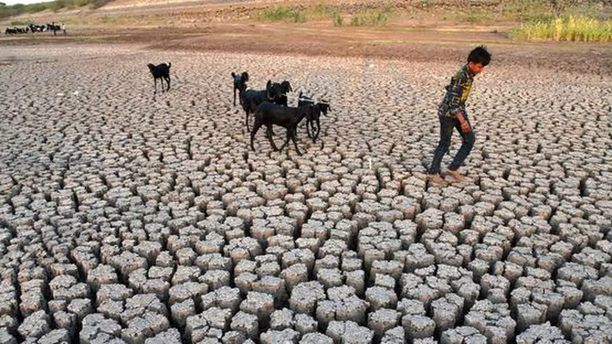 Parched earth