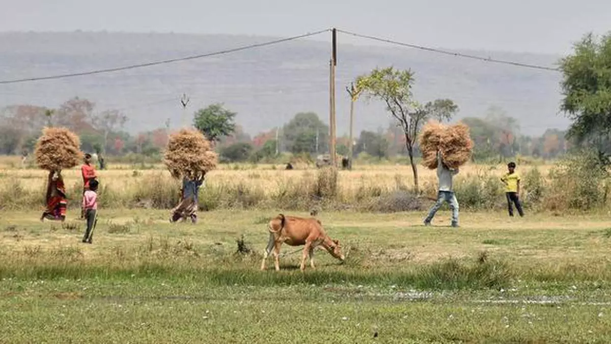 Madhya Pradesh: Marketing privatisation