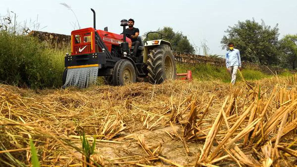 Contract farming as a means of ushering in corporatisation in agriculture