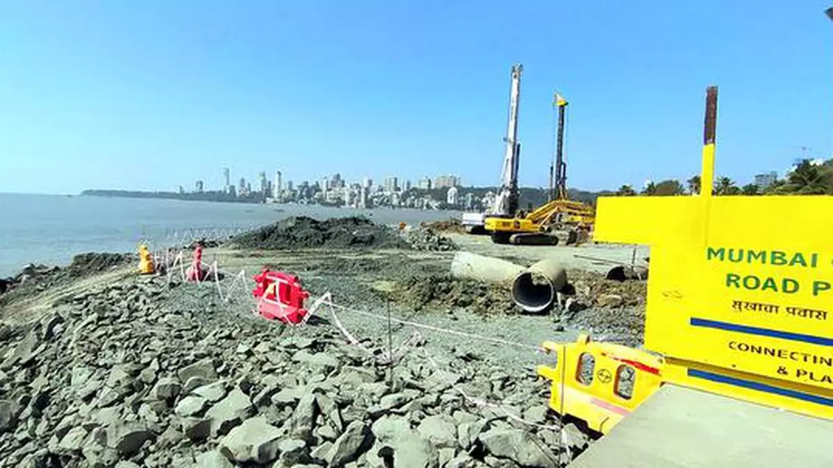 Relocating corals off Mumbai for a coastal road project